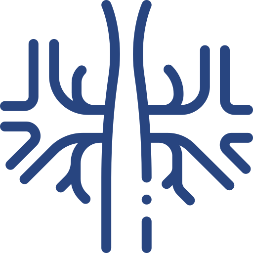 Vascular & Endovascular Surgery